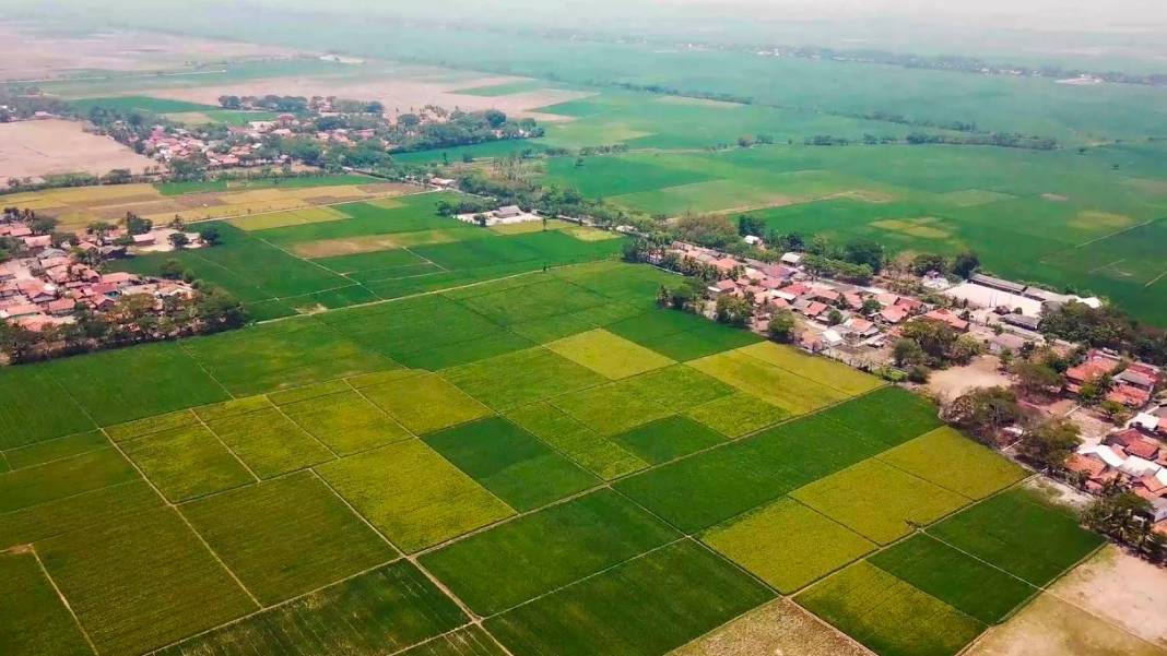 Tapusu bulunanlar şaşkına döndü: Bu bölgede emlak fiyatları aniden yükseldi 5